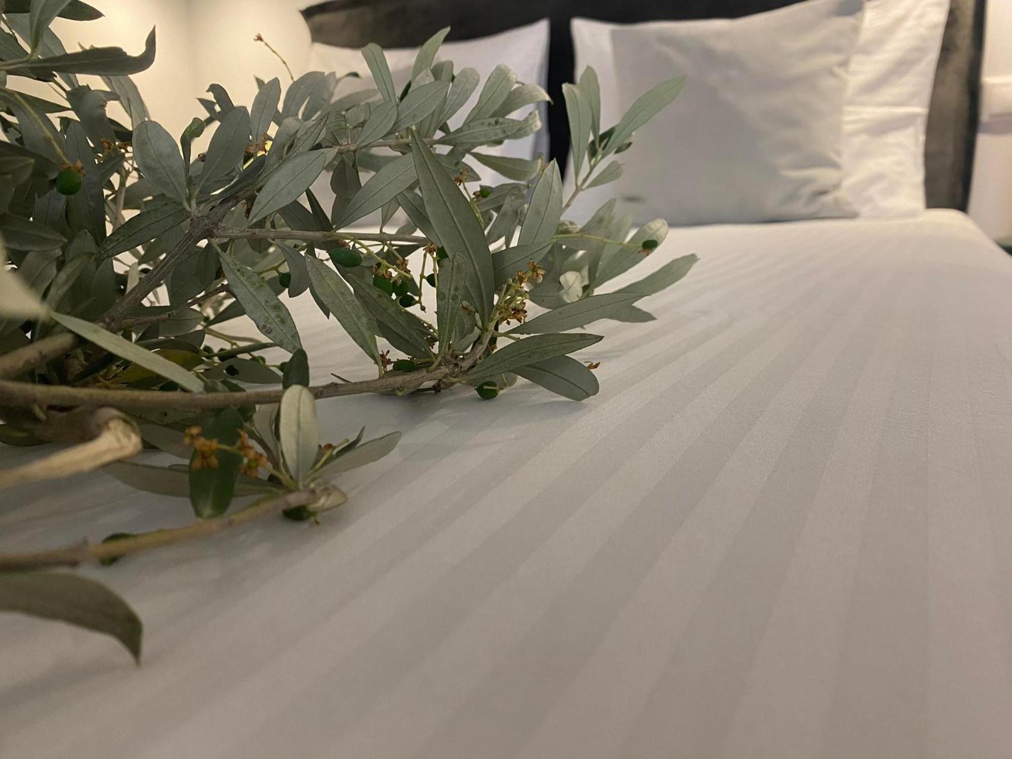 Oniropetra Luxury Suites Armakha Exteriör bild